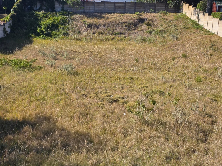 0 Bedroom Property for Sale in Sedgehill Western Cape